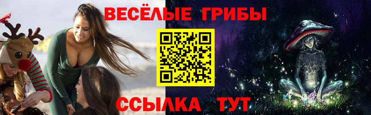 Карпинск  Псилоцибиновые грибы Psilocybe  Вход с VPN 